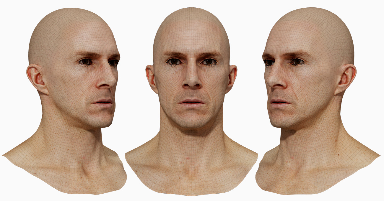 Forties Male Model head scan Wireframe